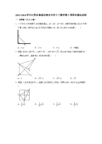 2023-2024学年江苏省南通市海安中学八下数学第十周周末强化训练（含答案）