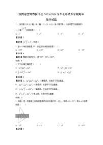 数学：陕西省宝鸡市扶风县2023-2024学年七年级下学期期中试题（解析版）