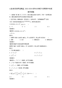 数学：山东省菏泽市定陶区2023-2024学年七年级下学期期中考试试题（解析版）