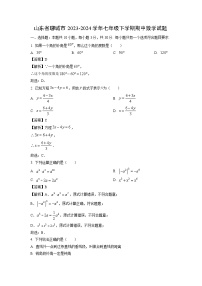 数学：山东省聊城市2023-2024学年七年级下学期期中试题（解析版）