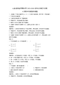 数学：山东省烟台市莱州市2023-2024学年七年级下学期4月期中考试试题（解析版）