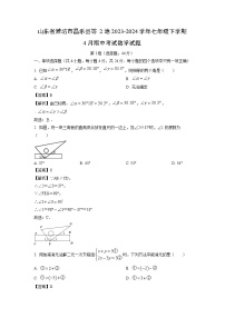 数学：山东省潍坊市昌乐县等2地2023-2024学年七年级下学期4月期中考试试题（解析版）