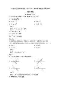 数学：山东省济南市平阴县2023-2024学年七年级下学期期中试题（解析版）