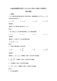 数学：云南省昭通市永善县2023-2024学年八年级下学期期中试题（解析版）