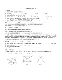 2023-2024学年广饶县乐安中学八年级下册数学鲁教版（五四学制）期末试卷模拟（1）