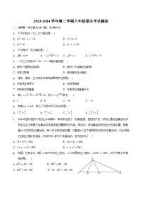 2023-2024学年广饶县乐安中学八年级下册数学鲁教版（五四学制）期末试卷模拟（2）