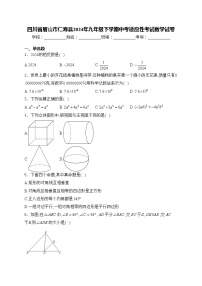 四川省眉山市仁寿县2024年九年级下学期中考适应性考试数学试卷(含答案)