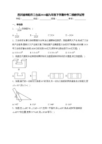 四川省绵阳市三台县2024届九年级下学期中考二模数学试卷(含答案)