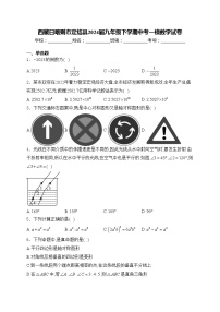 西藏日喀则市定结县2024届九年级下学期中考一模数学试卷(含答案)