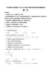 广东省惠州市惠城区2023—2024学年七年级下学期期末教学质量监测数学模拟卷+