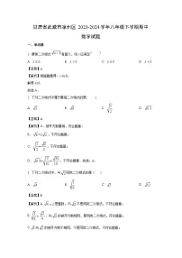 数学：甘肃省武威市凉州区2023-2024学年八年级下学期期中试题（解析版）