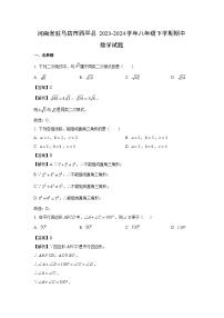数学：河南省驻马店市西平县2023-2024学年八年级下学期期中试题（解析版）