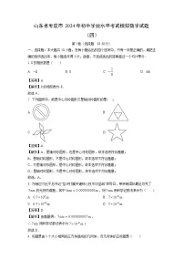 数学：山东省枣庄市2024年初中学业水平考试模拟试题（四）（解析版）