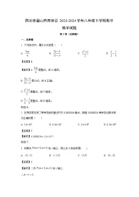 数学：四川省眉山市青神县2023-2024学年八年级下学期期中试题（解析版）