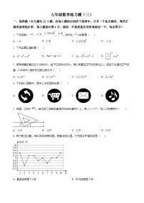 2024年山东省泰安市岱岳区中考三模数学试题（原卷版+解析版）