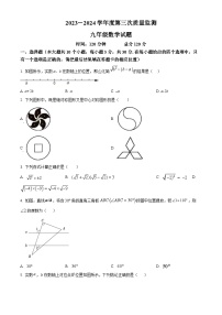 2024年山东省菏泽市鄄城县九年级中考三模数学试题（原卷版+解析版）