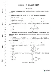 2024年甘肃省陇南市武都区中考模拟预测数学试题