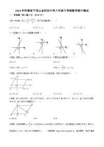 河南省平顶山市金世纪中学2023-2024学年八年级下学期期中数学试题(无答案)