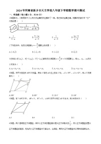 河南省新乡市天立学校2023-2024学年八年级下学期期中数学试题(无答案)