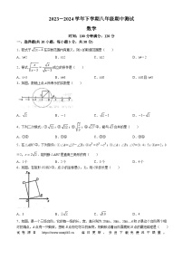 河南省新乡市长垣市第一初级中学2023-2024学年八年级下学期期中数学试题(无答案)