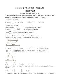 山东省东营市胜利第六十二中学2023-2024学年七年级下学期期中数学试题(无答案)