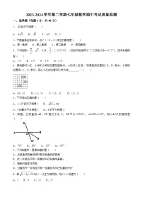 山东省德州市德城区第五中学北校区2023-2024学年七年级下学期期中数学试题