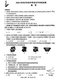 2024万维长沙中考数学定心卷（含答案）