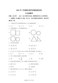 湖南省衡阳市衡南县2023-2024学年九年级上学期期末数学试题