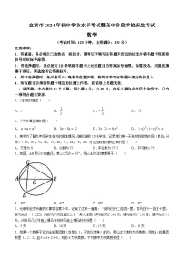 2024年四川省宜宾市中考数学试题(无答案)