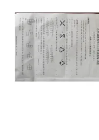 2024年湖北省黄冈市九年级中考适应性考试（二）模拟预测（二）考试数学试题