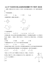 2024年广东省深圳市南山实验教育集团麒麟中学中考数学三模试卷（含解析）