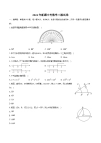 2024年新疆中考数学三模试卷（含解析）
