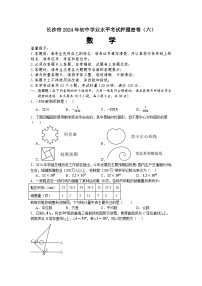 湖南省长沙市2024年初中学业水平考试押题密卷（六）数学