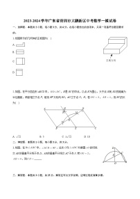 2023-2024学年广东省深圳市大鹏新区中考数学一模试卷+