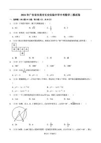 2024年广东省东莞市长安实验中学中考数学二模试卷