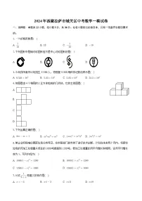 2024年西藏自治区拉萨市城关区中考数学一模试卷+