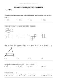 2024年辽宁丹东振安区初三中考三模数学试卷
