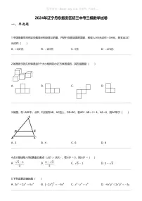 2024年辽宁丹东振安区初三中考三模数学试卷