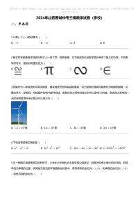 2024年山西晋城中考三模数学试卷（多校）