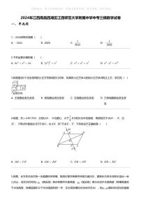 2024年江西南昌西湖区江西师范大学附属中学中考三模数学试卷