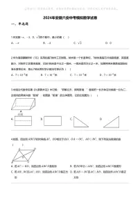 2024年安徽六安中考模拟数学试卷