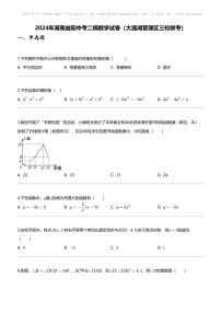 2024年湖南益阳中考二模数学试卷（大通湖管理区三校联考）