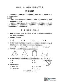 2024年四川省泸州市中考数学试题