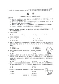 2024年四川省宜宾市中考数学试题