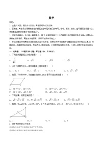 广东省湛江市经济技术开发区2023-2024学年八年级下学期期中考试数学试卷(含答案)