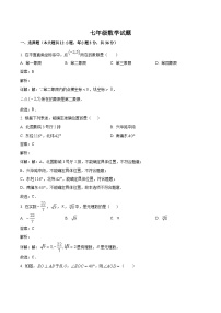 河北省保定市蠡县2023-2024学年七年级下学期期中考试数学试卷(含解析)