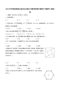 2024年甘肃省武威市凉州区长城九年制学校联片教研中考数学二模试卷（含解析）