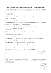 2023-2024学年福建省泉州市丰泽区七年级（上）期末数学试卷(含解析）