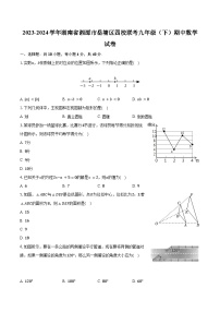 2023-2024学年湖南省湘潭市岳塘区四校联考九年级（下）期中数学试卷（含解析）