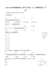 2023-2024学年海南省海口十四中九年级（下）月考数学试卷（3月份）（含解析）